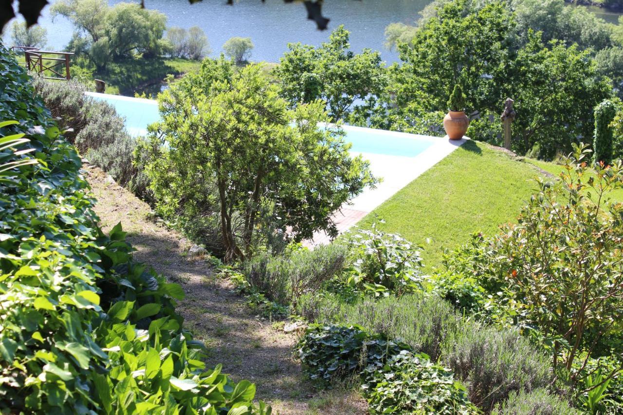 فيلا "Bouca Drigues" Casa Antiga De Pedra Com Piscina E Vista Rio أمارانتي المظهر الخارجي الصورة