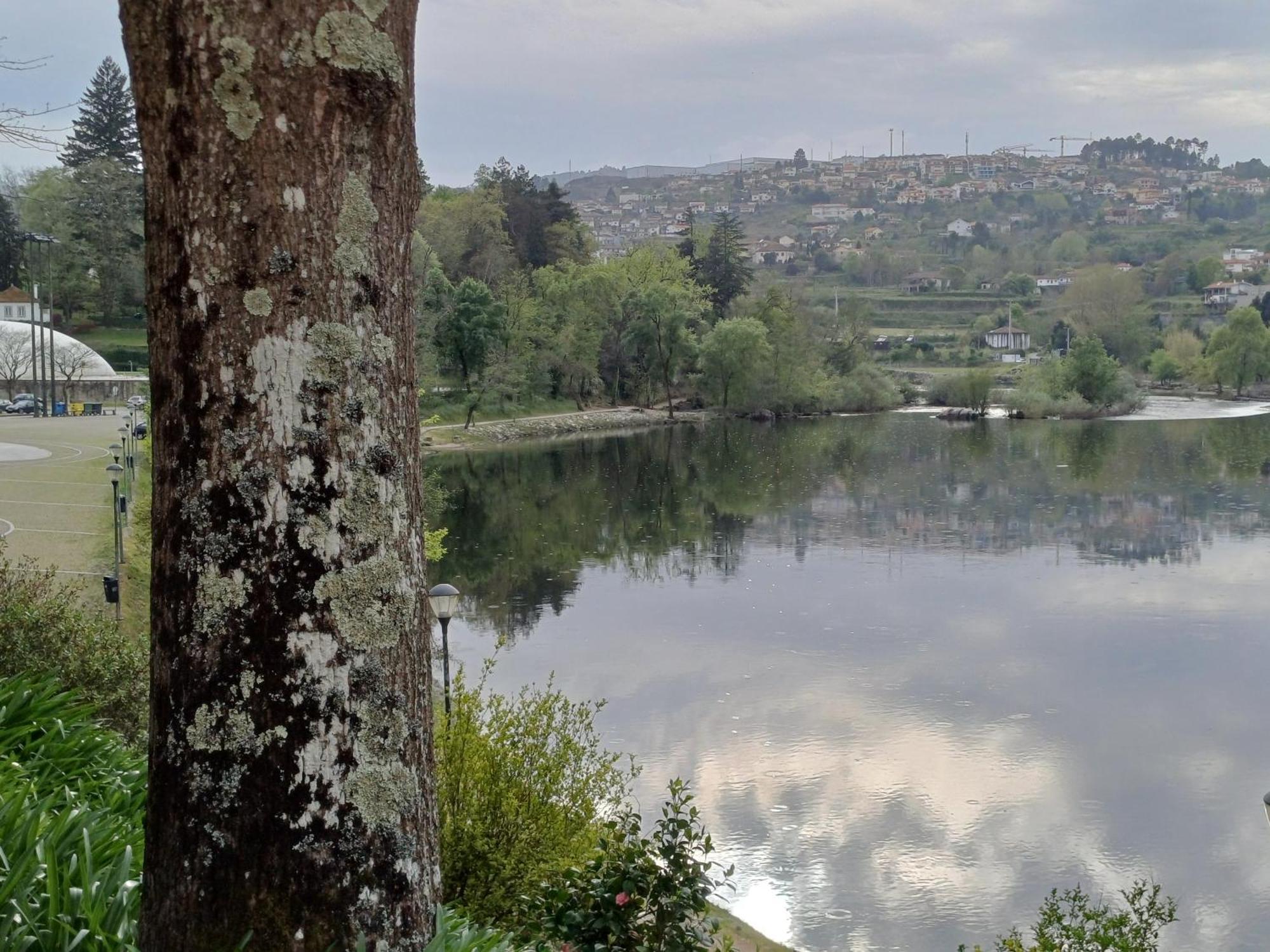 فيلا "Bouca Drigues" Casa Antiga De Pedra Com Piscina E Vista Rio أمارانتي المظهر الخارجي الصورة